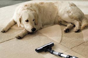 vacuum cleaner for pet hair